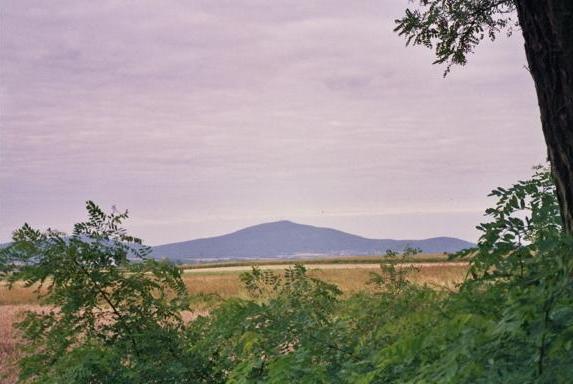 Meine "Nachtbetreuerin", der Berg Zobten (pl. �l�a).