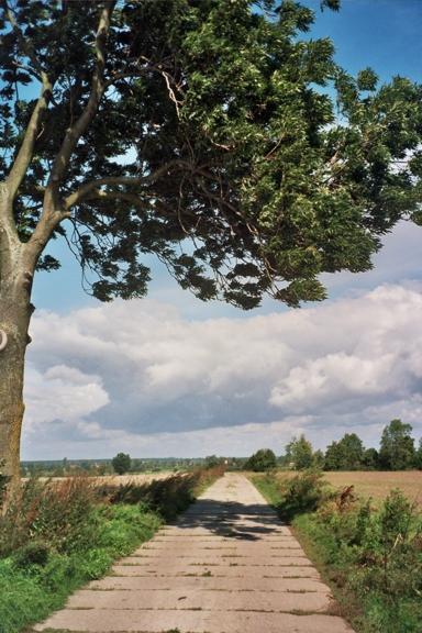 Der Weg nach Stankowo. Die Umgegend vom Drausensee (pl. Jezioro Dru�no).