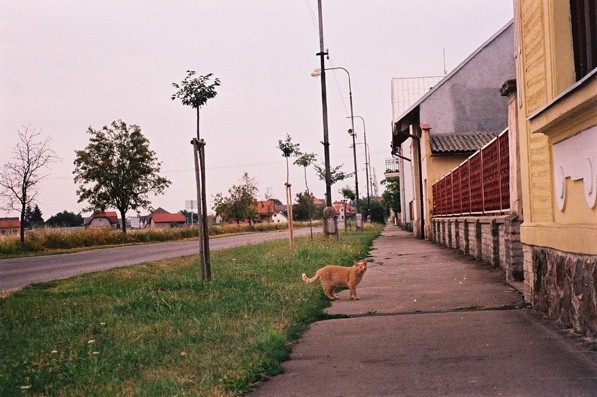 "Der Fr�haufsteher" aus Sadská.